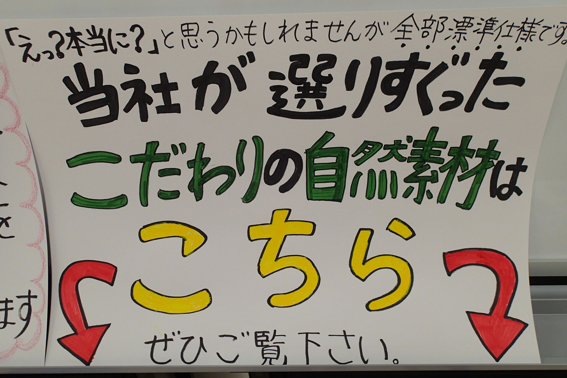 p7.JPG