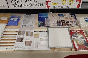 p8.JPG