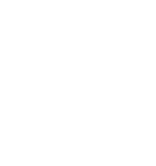 こだわりの木材ラインナップ