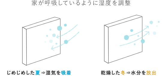 珊瑚のいぶき